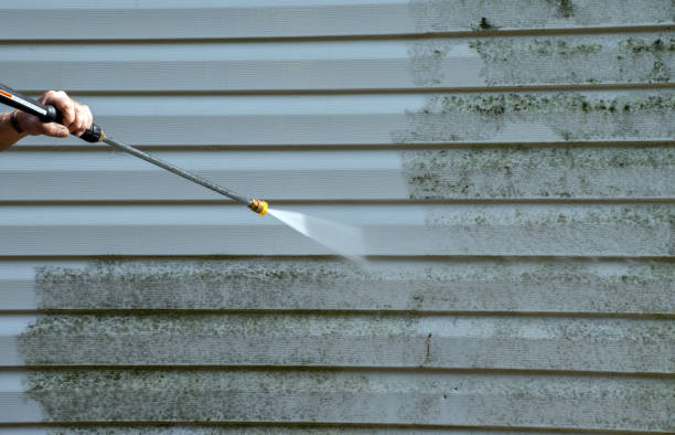 Best Patio and Deck Pressure Washing  in Williams, CA